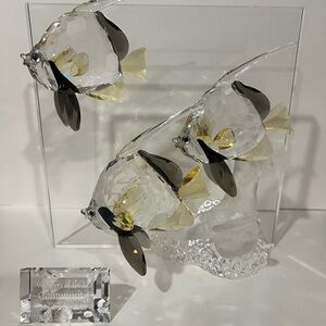 Swarovski wonders of the sea ‘community’